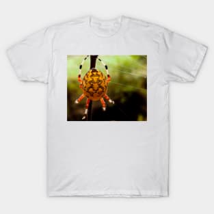 Yellow Orb Spider T-Shirt
